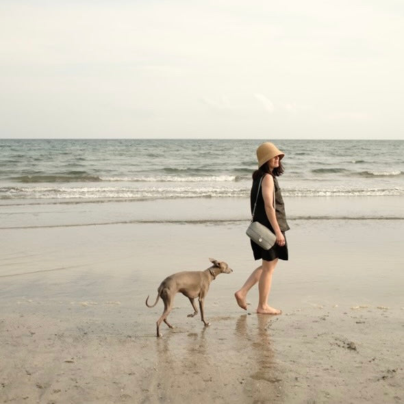 Urlaub mit Hund in Japan: Reiseguide & Tipps