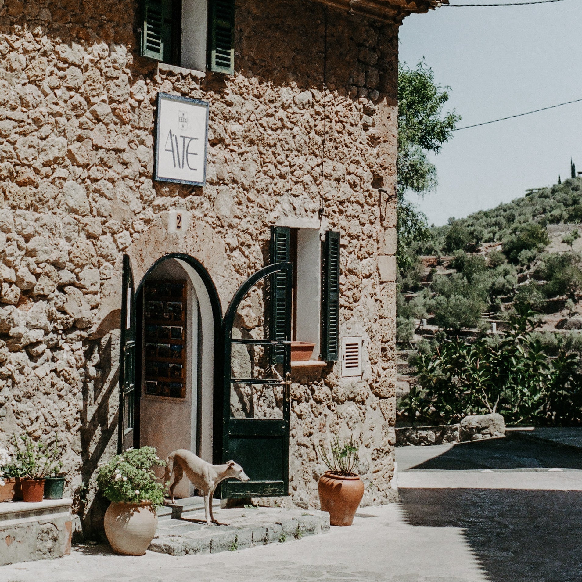 Urlaub mit Hund auf Mallorca: Wanderungen, City-Tour, Kajak & Genuss!