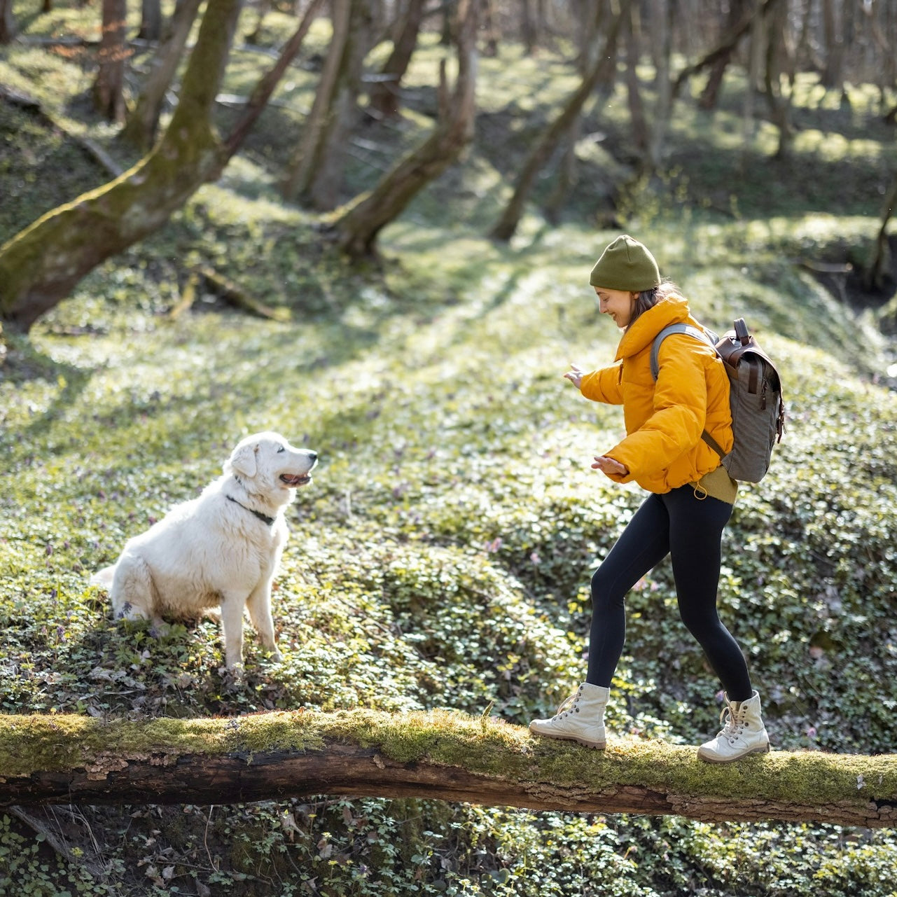 Wanderurlaub mit Hund: Tipps, Unterkünfte & Do’s & Don’ts