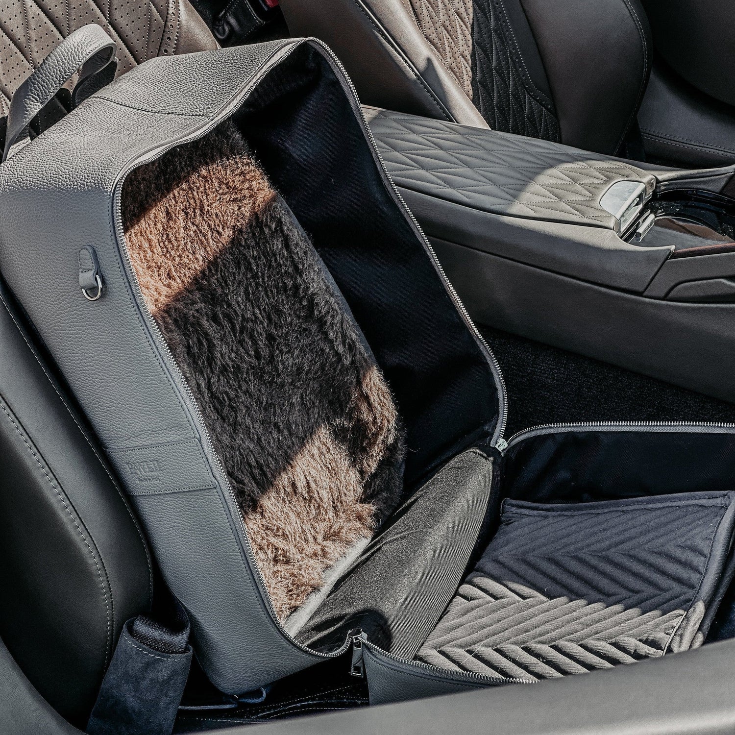 Autofahren mit Hund – Sicher, stressfrei und gut vorbereitet