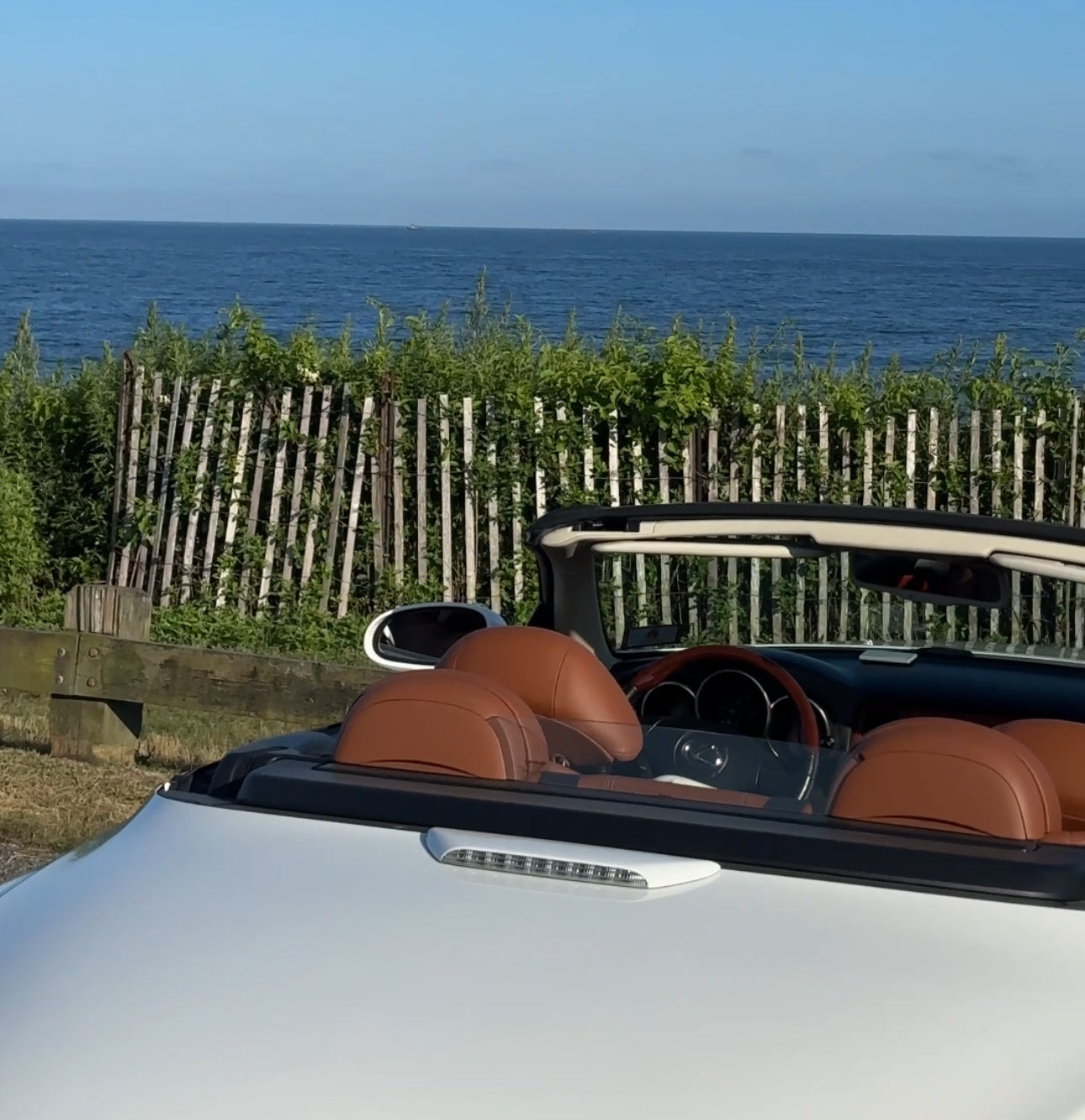 Urlaub mit Hund in den Hamptons: Exklusive Küstenmomente genießen