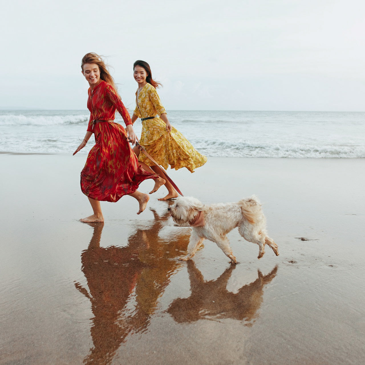 Urlaub mit Hund auf Sylt: Der perfekte Guide für eine entspannte Nordsee-Auszeit