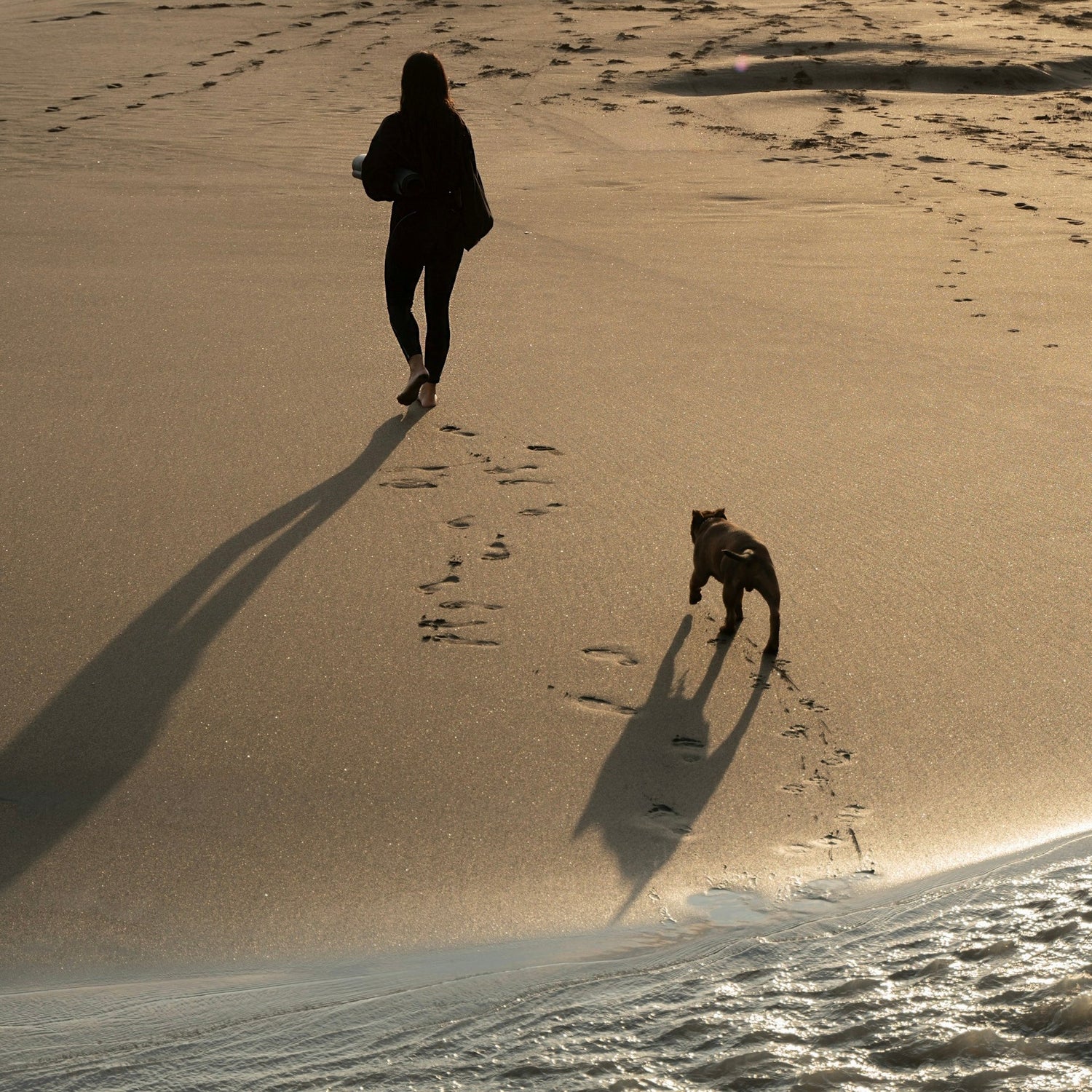 Klangreise für Hunde – Ruhe für Sie und Ihren Vierbeiner auf Reisen