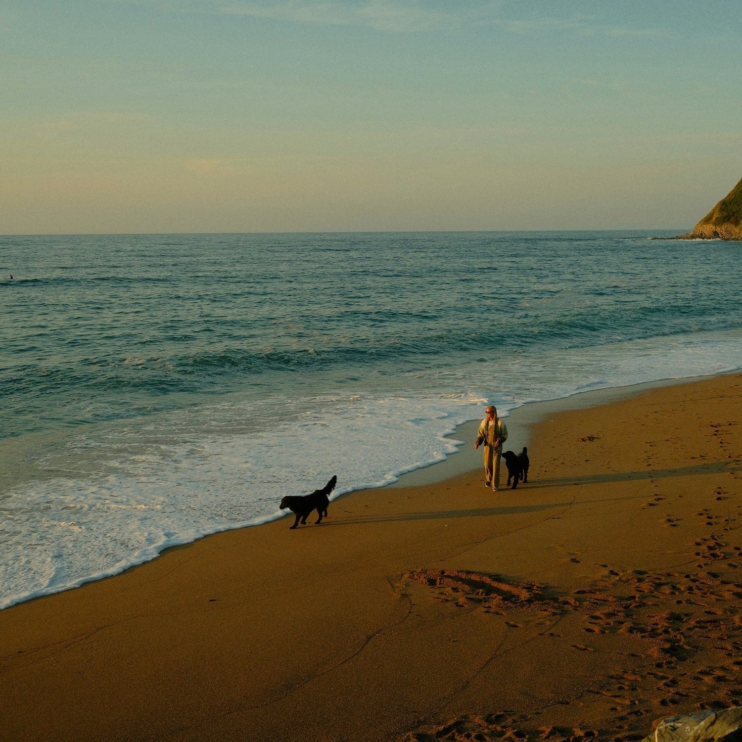 Reisen mit zwei Hunden: So gelingt entspannter Urlaub