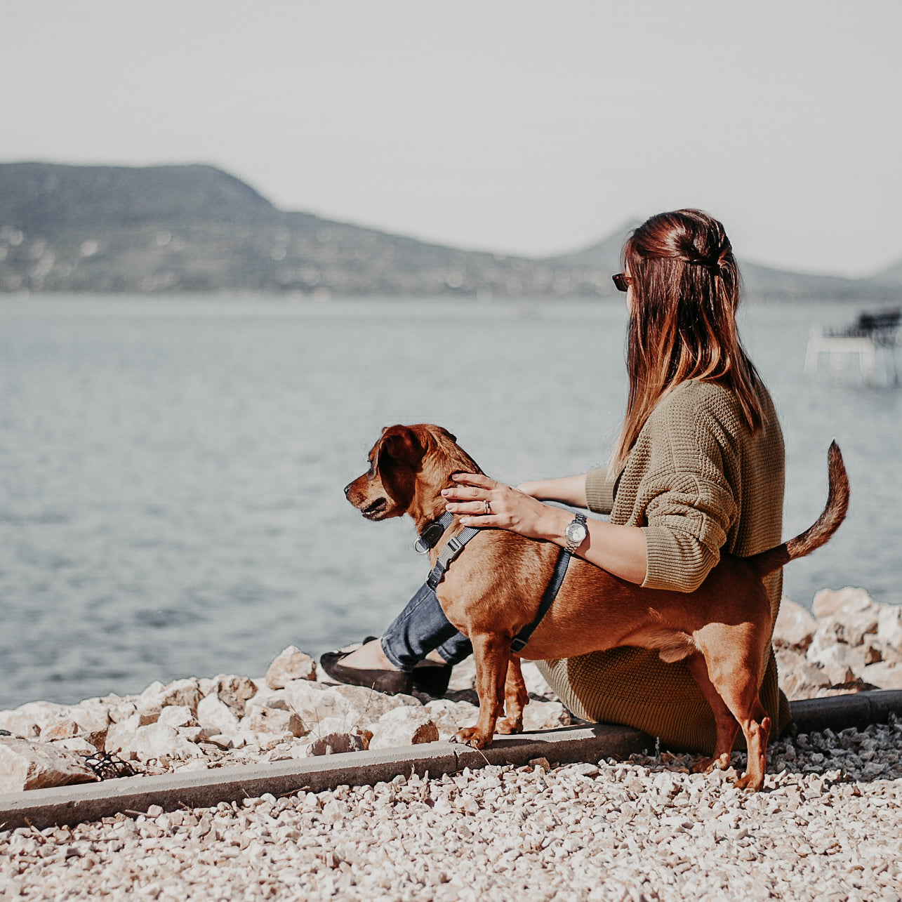 Gardasee mit Hund: Der komplette Urlaubs‑Guide