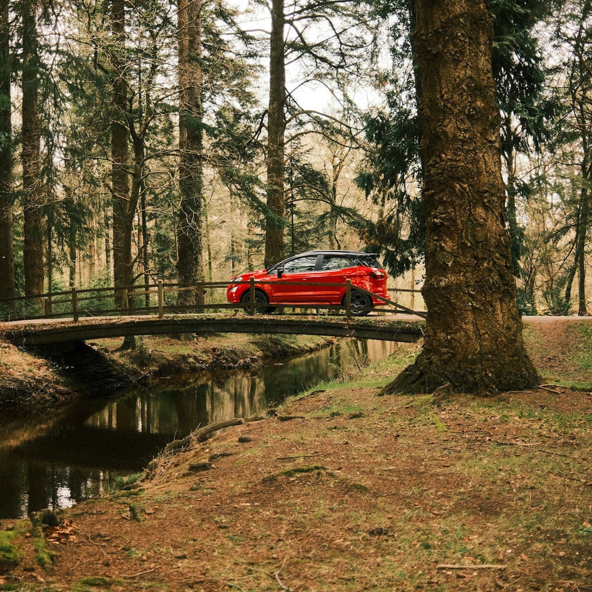 Urlaub mit Hund in England | Roadtrip Inspiration