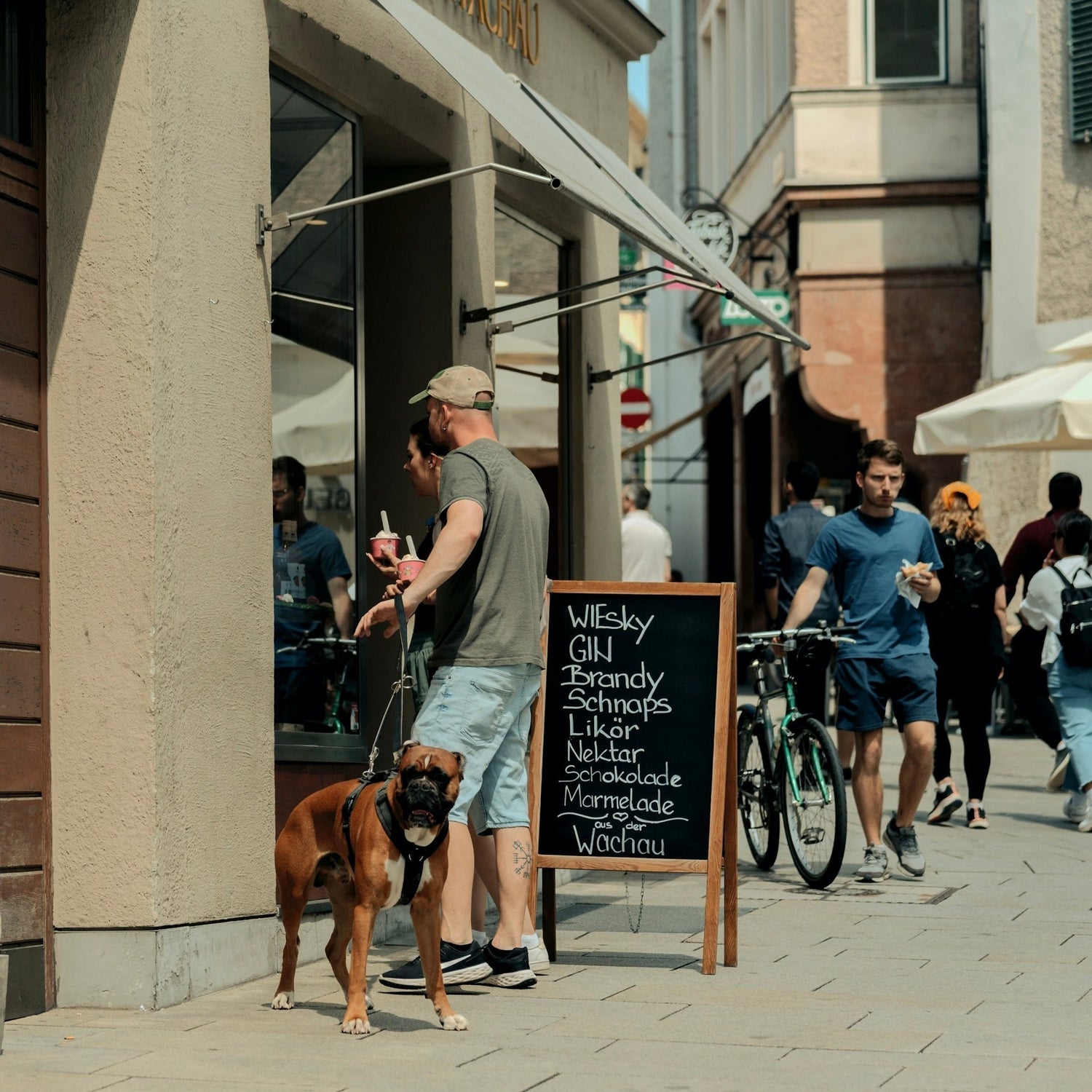 Urlaub mit Hund in Wien: Exklusive Tipps für Ihre Reise