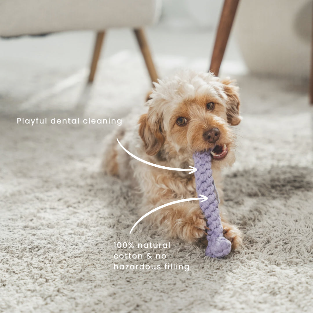 Cotton Chew Toy | Bone