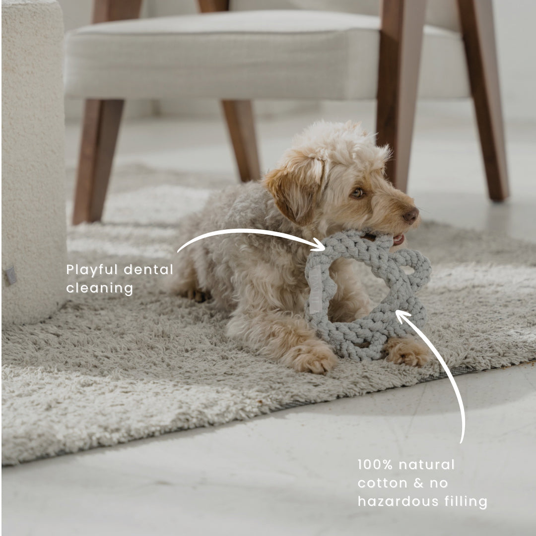 Cotton Chew Toy | Paw