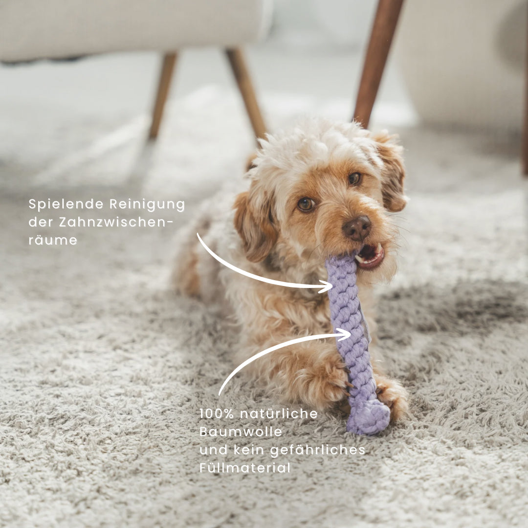 Cotton Chew Toy | Bone