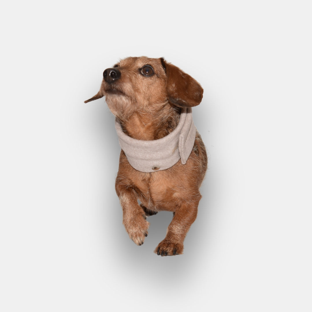 Design Clip “Sciarpa” | for the collar base