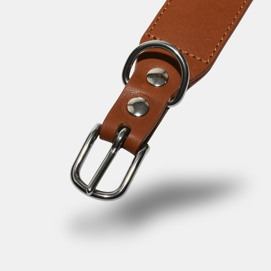 Lederhalsband in Cognac, Nahaufnahme Verschluss.