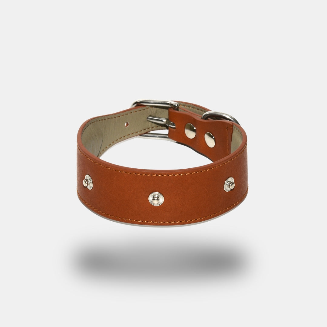 Lederhalsband in Cognac mit Druckknöpfen.