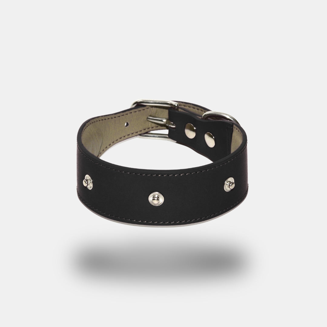 Lederhalsband mit Druckknöpfen in Schwarz.