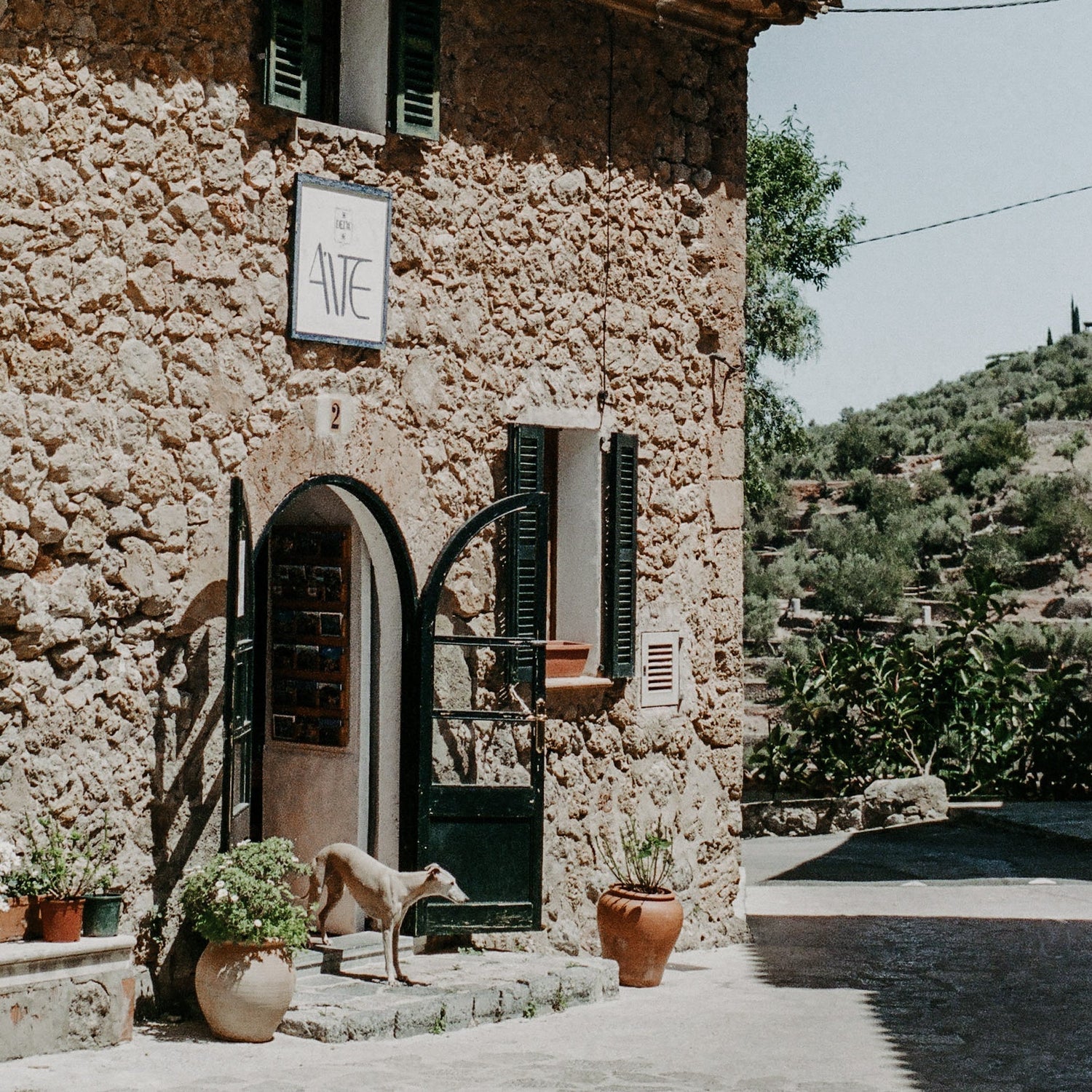 Urlaub mit Hund auf Mallorca: Wanderungen, City-Tour, Kajak & Genuss!