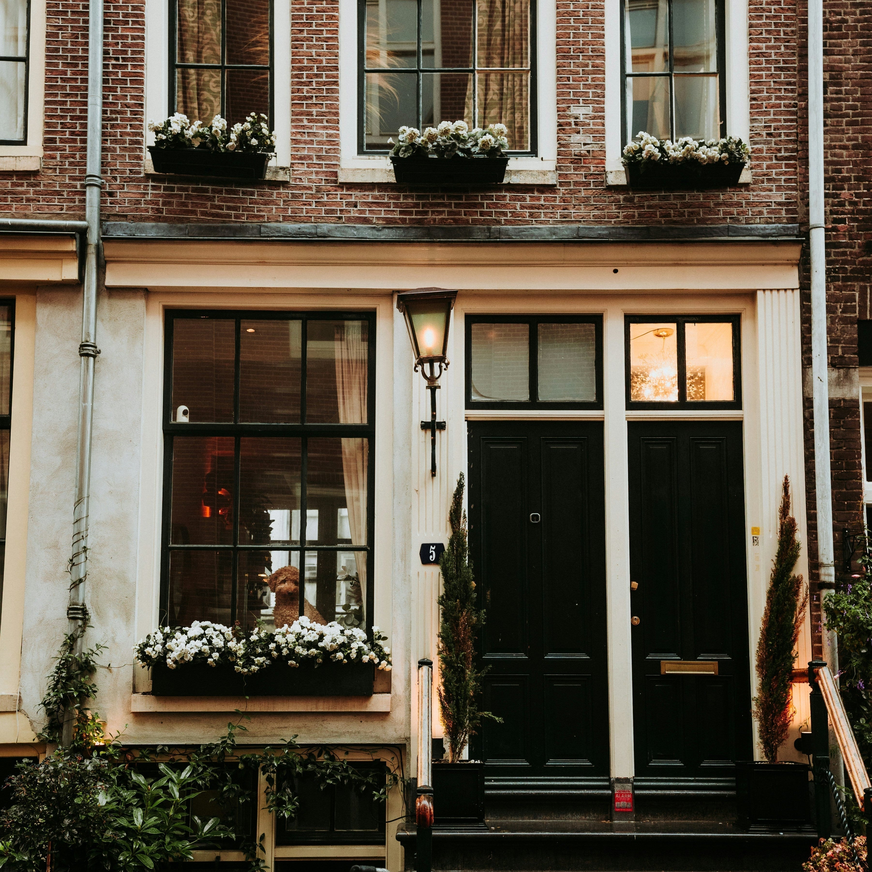 Urlaub mit Hund Amsterdam – Exklusive Hotels & Insider-Guide