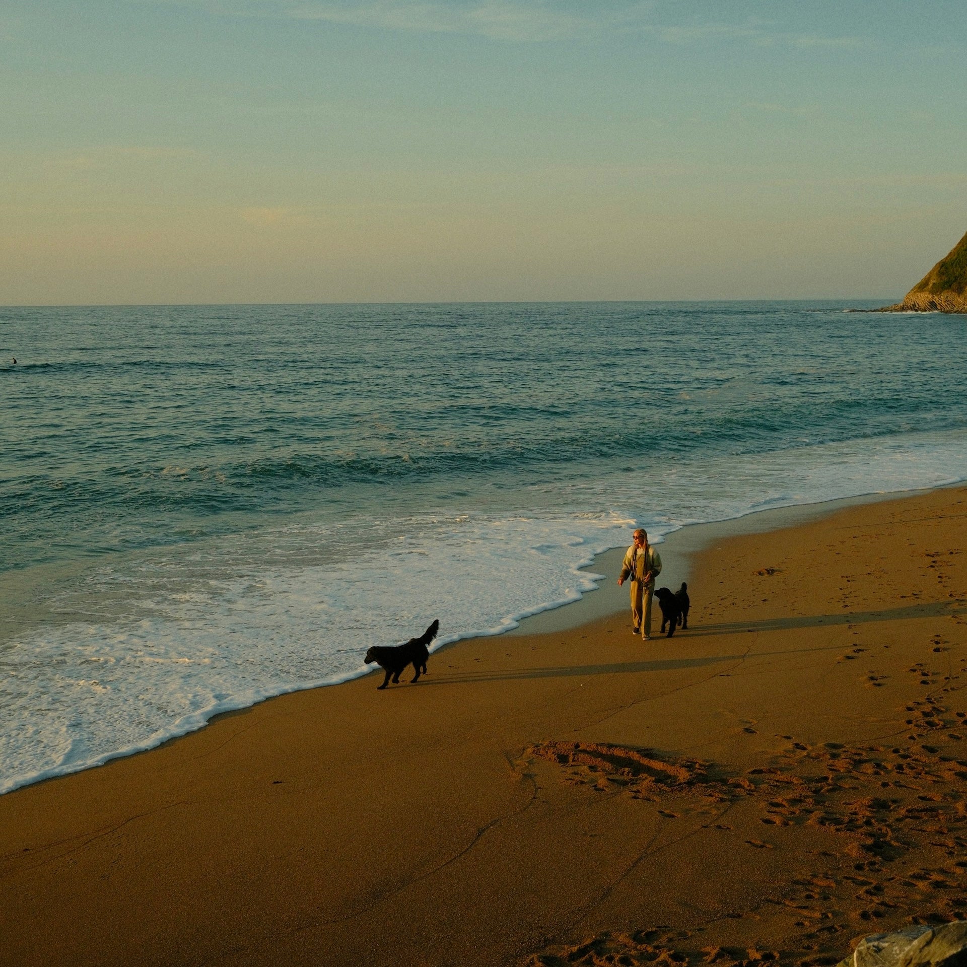 Reisen mit zwei Hunden: So gelingt entspannter Urlaub