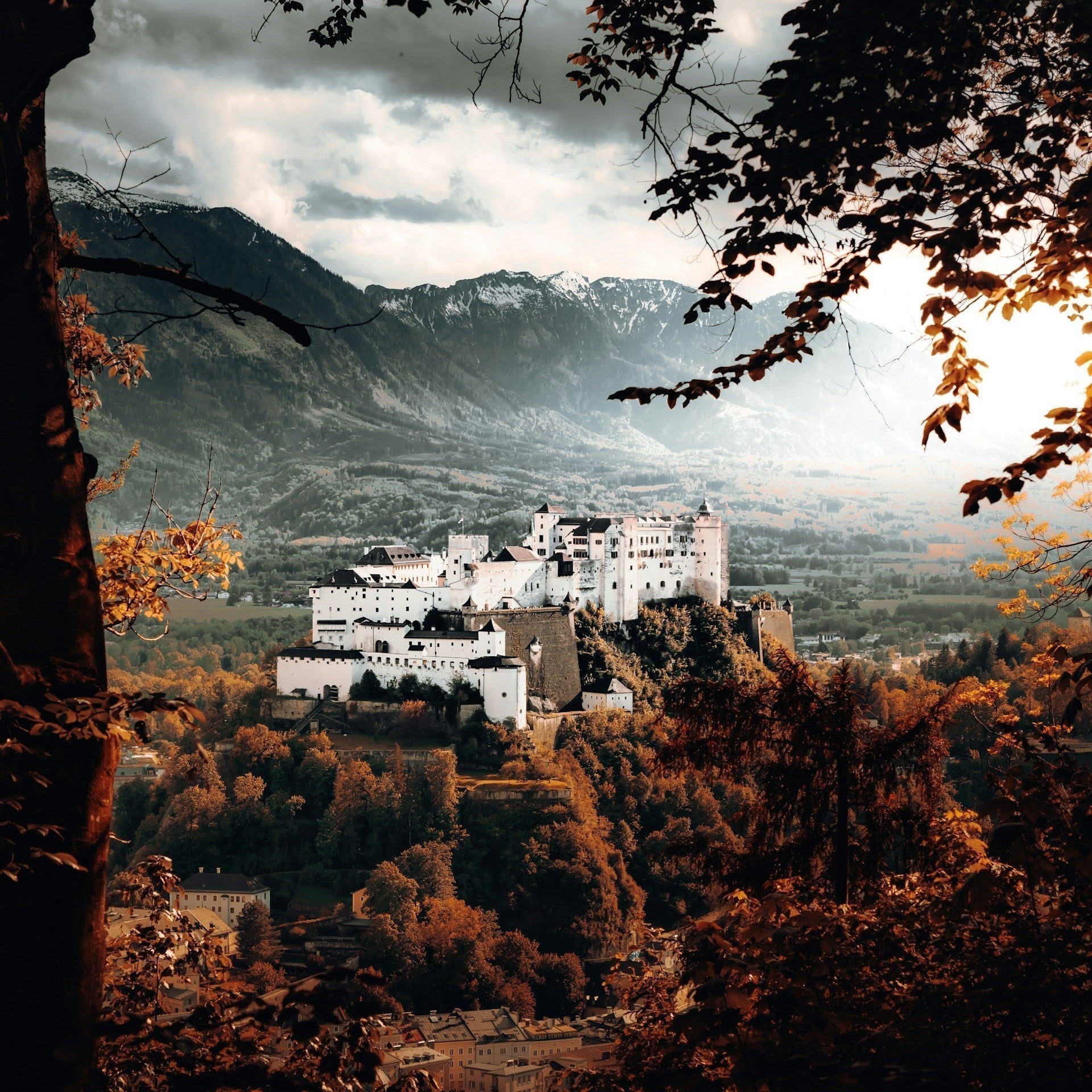 Urlaub mit Hund in Salzburg – Luxus, Natur & hundefreundliche Highlights