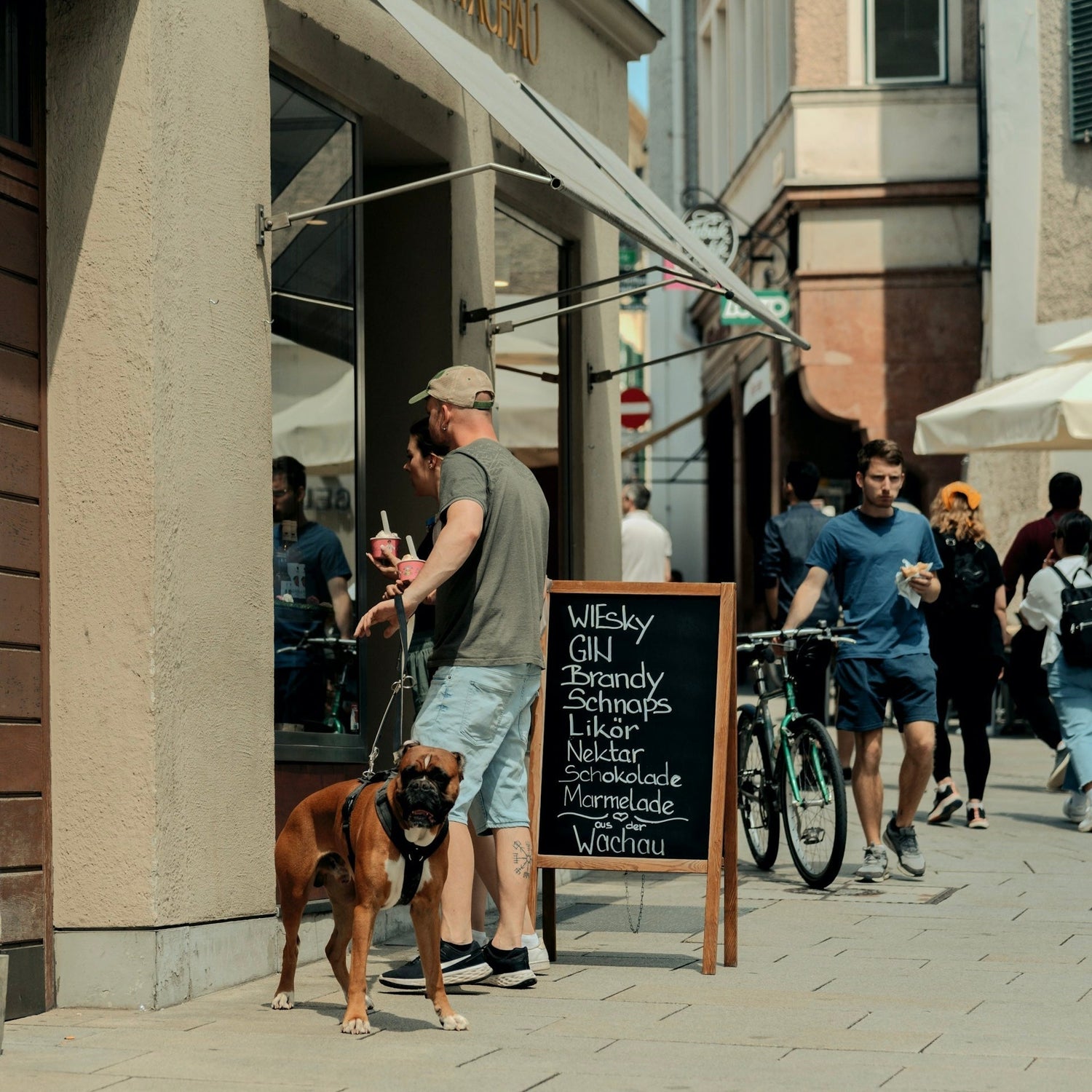 Urlaub mit Hund in Wien: Exklusive Tipps für Ihre Reise