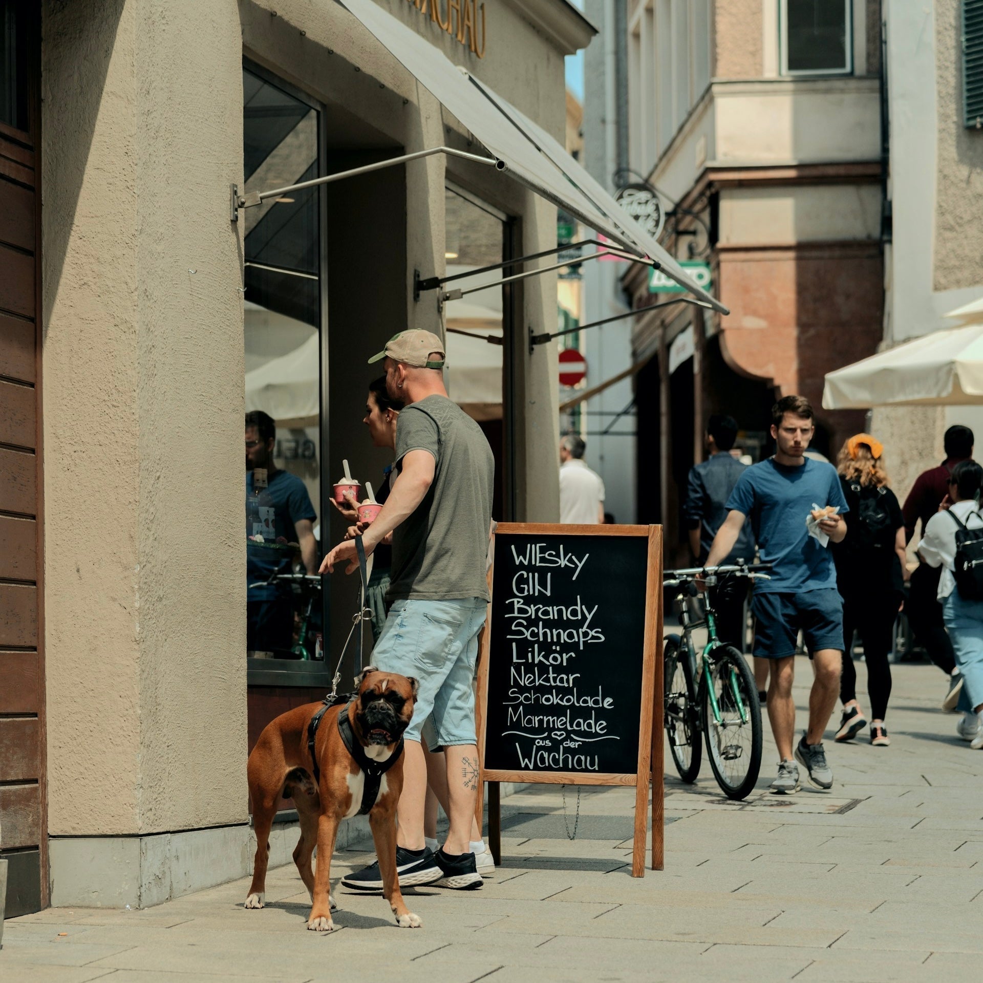 Urlaub mit Hund in Wien: Exklusive Tipps für Ihre Reise