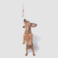 Dachshund jumping in the air to catch a grey paw-shaped rope toy
