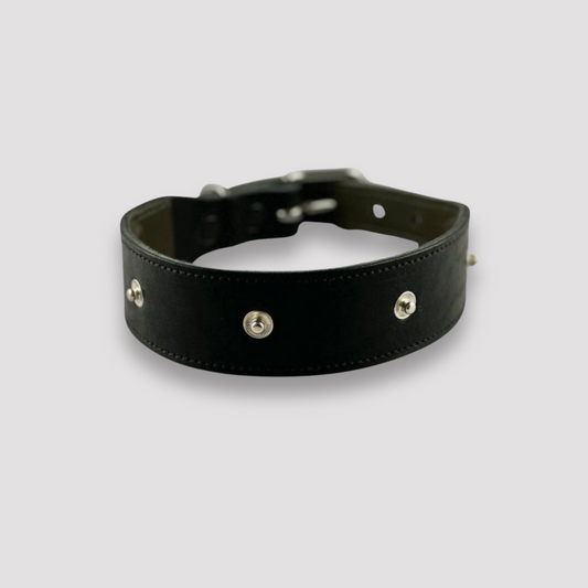 Black basic leather collar for dogs