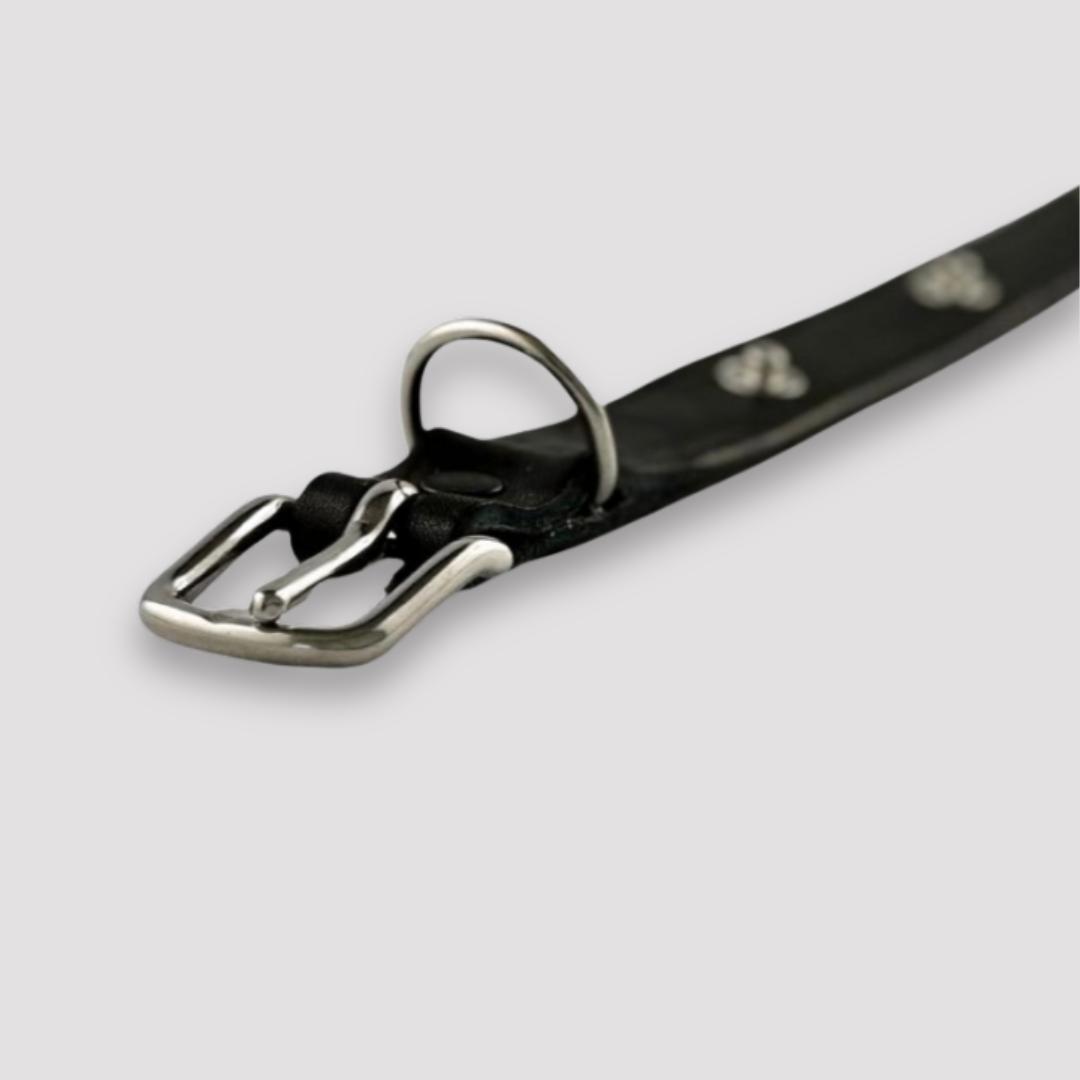 Stainless steel buckle for dog leather collar