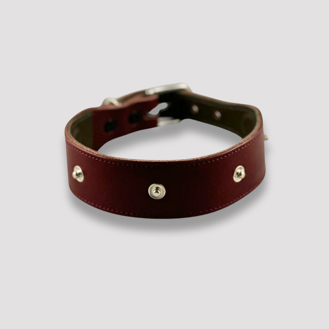 Burgundy leather collar for dogs