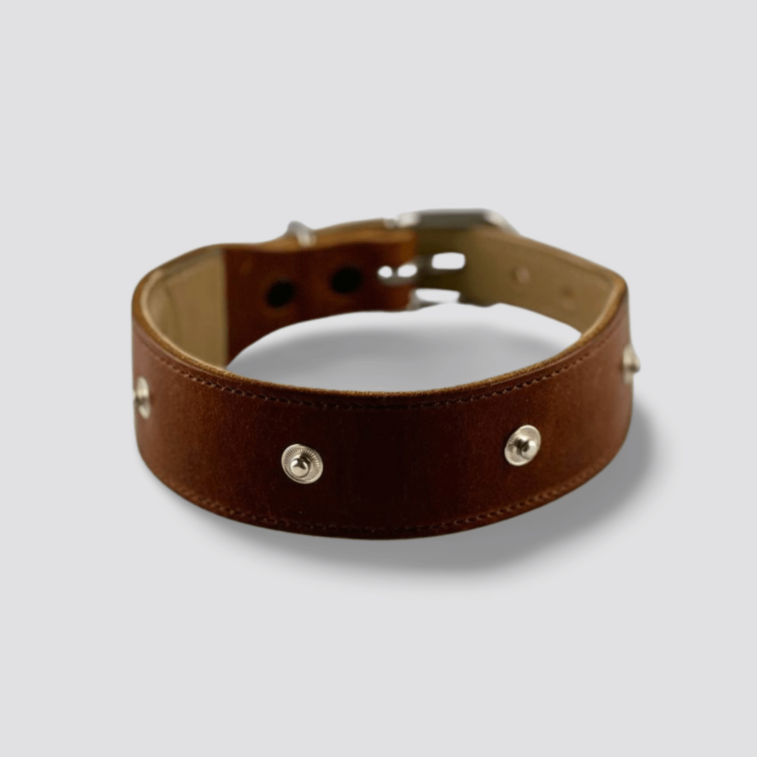 Dog leather collar in cognac