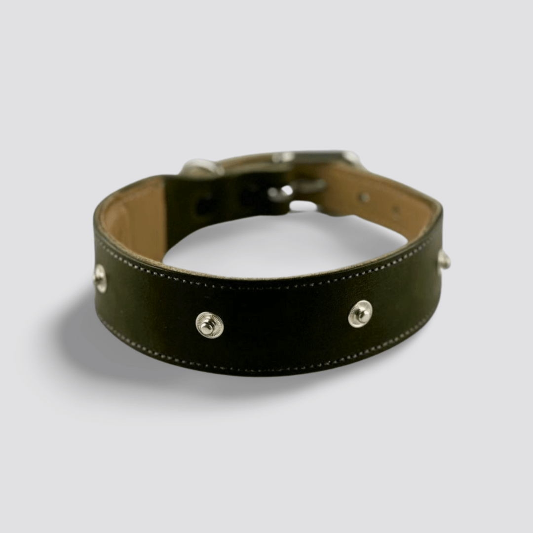 Dark green leather collar for dogs