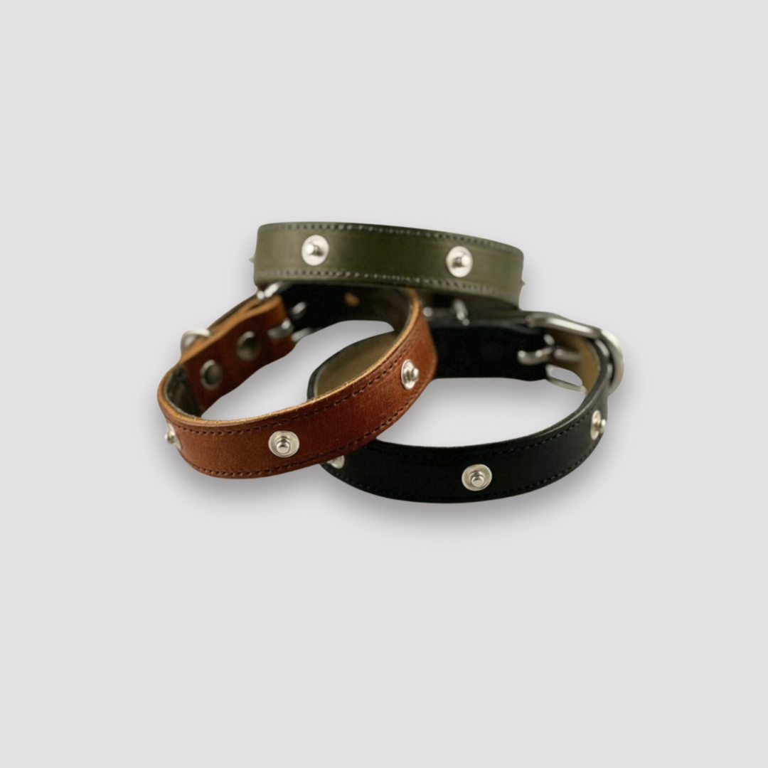 XS dog leather collars in various colors