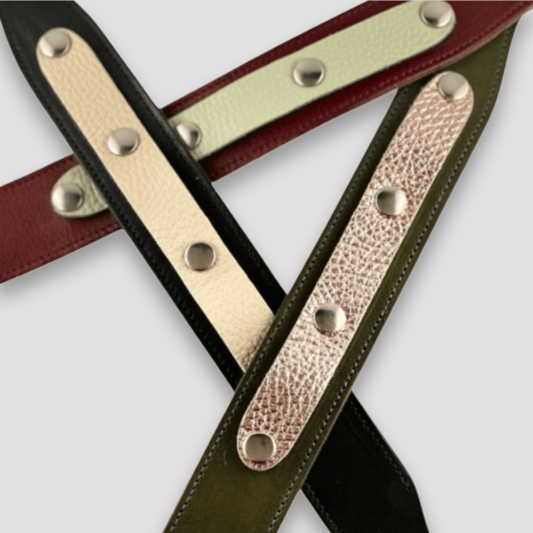 Dog leather collars collage